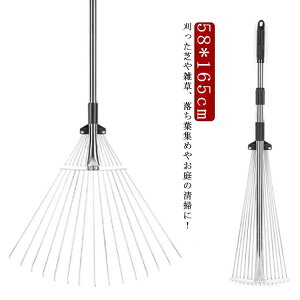 yҏ300~OffN[|z߉\ | Ő Lk K[fjO t| [L 15 F ~  K[f y |