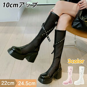 T}[u[c fB[X VA[u[c Ou[c   10cmq[ `L[q[   _炩 gAbv ؍ Y2K nn r r bV ʋC _