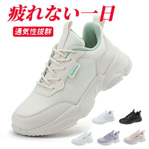 yҏ撅10F300~OffN[|zfB[X Xj[J[ Y C g[jOV[Y W V[Y EH[LOV[Y ɂ ꂢ  l d ^