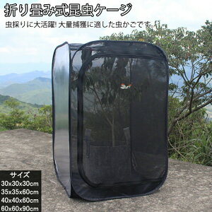 yҏ撅10F300~OffN[|z甠 AP[W W{ ܂ݒ P[W |bvAbvnEWO ʋC lbg ɐB P[X 4TCY ώ@ W{ ̂
