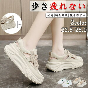 yҏ撅10F300~OffN[|z Xj[J[ fB[X lC [ gAbv  r ₷ Ȃ C fB[XV[Y V[Y y EH[LOV