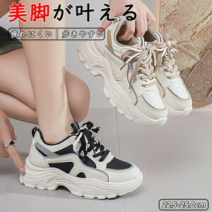 yҏ撅10F300~OffN[|zEH[LOV[Y jOV[Y Xj[J[ fB[X fB[XXj[J[ C ꂢ IV ₷ X|[cV[Y V