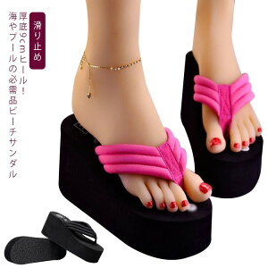 n gOT_ ăT_ T_ 9Z`q[ T_  fB[X q[ y C r[`T_ Sn ₷ ̎q 킢  p