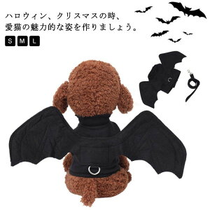 蕨 nEB  H RXv L  RX`[ 킢 ^  ybg RE ̕ L  hbOEFA ybgpi  p halloween