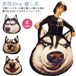 Ck ʂ CeA  nXL[ rbOTCY  NbV 낢ObY   q    ܂ YQ܂ ̊ N ܂ n