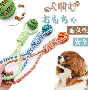   lC  {[ [v XgX v ϋv   Ђς ߋ ^ ^ [vgC ʂ ybgpi ^