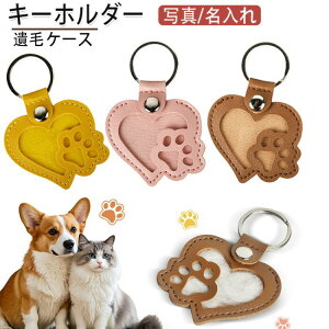 2Zbg ybg уP[X L[z_[ ʐ^ \ gїpL[z_[ `[  L  p ѓ AObY d { ybg  