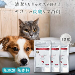 y3ZbgzO[~O^u dY_CIPA 10(ELȂǃybgppϗ)