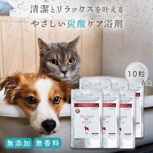 y6ZbgzO[~O^u dY_CIPA 10(ELȂǃybgppϗ)