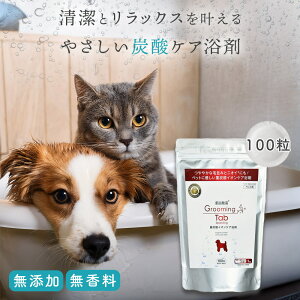 O[~O^u dY_CIPA 100(ELȂǃybgppϗ)