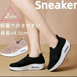 Xj[J[ fB[X lC Xj[J[ fB[X  Xb| fB[X D^ fB[X Xj[J[ _CGbg EH[LOV[Y ₷ y  r g4.5cmA