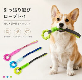 犬 噛む おもちゃ 犬 犬 おもちゃ 噛む ロープ 頑丈 子犬 引っ張りっこ遊び 知育玩具 小型犬 中型犬 噛むおもちゃ 噛んでも壊れない 安全 ゴム ストレス解消 運動不足解消 リング しつけ用甘噛み パピー犬 プレゼント