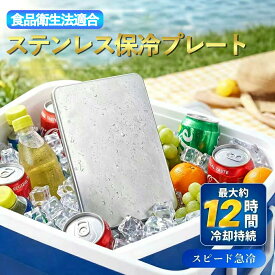 5点入【繰り返し使用】sus304 ステンレス 保冷剤 長時間 保冷プレート 冷凍 冷蔵 冷却 プレート お弁当 あら熱取り レート コールドプレート 長持ち 保冷剤 急冷 クーラーボックス 車 車用 キャンプ アウトドア 通勤 通学 コンパクト 熱中症対策グッズ お弁当 食品衛生法適合