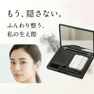 【2026年モデル】【1分で簡単カバー】 ヘアシャドウ ヘアラインパウダー 白髪隠し 薄毛隠し 分け目 生え…