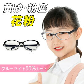 【デイリー使いに最適】メガネ 花粉メガネ 保護メガネ ゴーグル 花粉 花粉ガード 防塵 粉塵 飛沫 黄砂 防風 UVカット ブルーライトカット 曇り止め 防曇 レンズ 軽量 軽い 快適 眼鏡 フィット 防護メガネ 花粉対策メガネ クリア 通勤 通学 屋外 スポーツ 子供 レディース