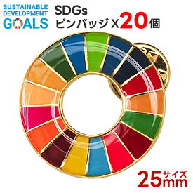 20個セット【適格請求書発行可能】SDGs バッジ SDGsバッジ マグネットバッジ ピン ピンバッチ バタフライクラッチ 留め具20個付き 17色 カラーホイール 25mm スーツ用 バッグ 帽子 社員 企業 学校 SDGs啓発用 会議用 サステナビリティ推進 正規品 会社用 SDGsバッジセット