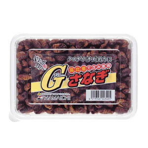 qⓀނGTrlsmHAMAICHInGȂ(^Cv)×2ZbgyⓀz