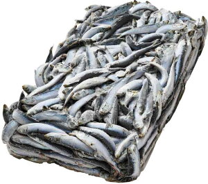 qⓀނGTrlsmHAMAICHIn}CV10kg^Cv()yⓀz