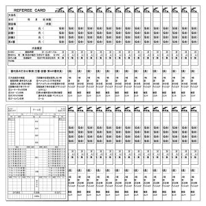 FINTA �t�B���^ �T�b�J�[ �t�b�g�T�� ���t�F���[ �L�^�p���@30���Z�b�g FT5988 ���t���[ �R�� ���t���[�p�i ���t���[����