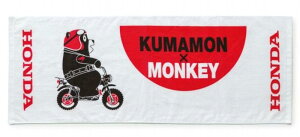 Honda(z_) tFCX^I zCg 0SYEP-W98-WF