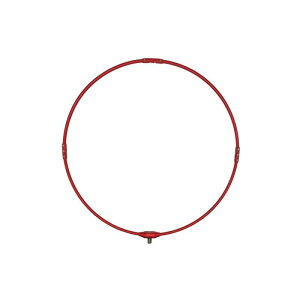 FV [T ^g(lc܂) W~  50