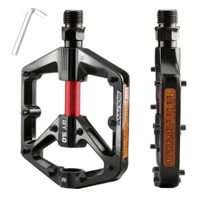 TRIWONDER ] y_ [hoCN NXoCN MTB tbgy_ tN^[t }}`