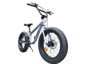 Eizer(AC[) yt@bgoCNz͂̋ɑ t@bgoCN WfBXNu[L NEWA~zC[ 3D̃t[ Shimno7Speed 20C`20x4.0/4 FATBIKE SNOWBIKE F120