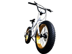 Eizer(�A�C�[��) �y�t�@�b�g�o�C�N�z���͂̋ɑ� �t�@�b�g�o�C�N W�f�B�X�N�u���[�L NEW�A���~�z�C�[�� 3D���̃t���[�� Shimno7Speed 20�C���`20x4.0/4 FATBIKE SNOWBIKE F120