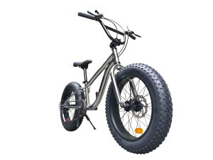 Eizer(�A�C�[��) �y�t�@�b�g�o�C�N�z���͂̋ɑ� �t�@�b�g�o�C�N W�f�B�X�N�u���[�L NEW�A���~�z�C�[�� 3D���̃t���[�� Shimno7Speed 20�C���`20x4.0/4 FATBIKE SNOWBIKE F120