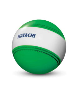 n^`iHATACHIj OEhSt irQ[V{[ O[ BH3851-35 iO[/FF/Men'sALady'sj