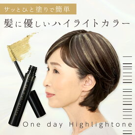 【メーカー公式】 ワンデーハイライトーン ヘアマニキュア ヘアチョーク ヘアカラー ブリーチ不要 ワンデー 1日だけのカラーチェンジ ハイライト 高発色 簡単 白髪隠し ヘアマスカラ 白髪 白髪ぼかし ヘアカラー