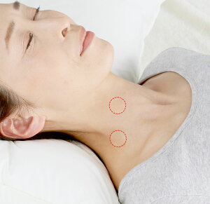 y[J[zn₷݃|c|cV[g 45 V[g pbN |c|c ϕi  AQ n  \邾  C{ PA ngMGLX ǐm hN_~GLX