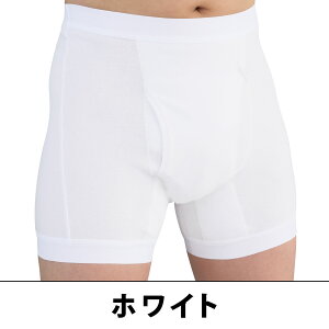 y[J[z {NT[pc^փpc TChV[Nbg AR zpbh Y jp am Ȃ R