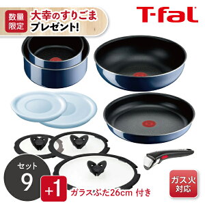yȂK̂育܃v[gzy炵IWiZbgzyKXΐpzeBt@[ T-fal lI Cu[ECeX Zbg9 L43792{o^tCKXW26cm L99366 10_Zb