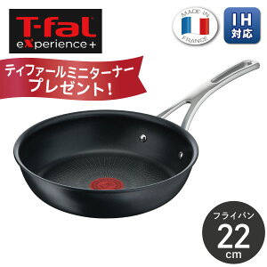 yʌ~j^[i[v[gIzeBt@[ GNXyGX+ tCp 22cm E52303 KX IH  R tCp uߓ Pi ϋv  t Pi Mtg ō T-FAL 