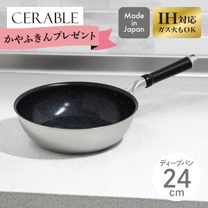 yGg[ōő100%|CgobN zyԌ ӂv[gzZu fB[vp 24cm CRB-D24 EV} { IH KX тȂ [^ tCp