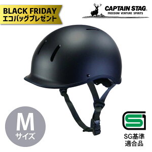 yGRobOv[gzLveX^bO wbg Hirsch qV M cot }bgubN Y-6489 AEghA X ] TCNO ʋ ʊw S S SGKi }bg 