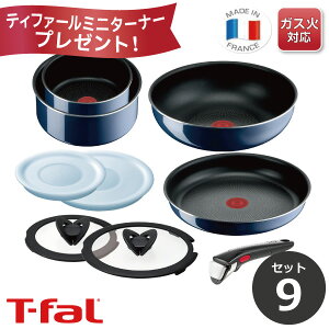 yʌ~j^[i[v[gIzeBt@[ T-fal tCp Zbg CWjIElI Cu[ECeX Zbg9 L43792 yKXΐpz tCpZbg KX  M