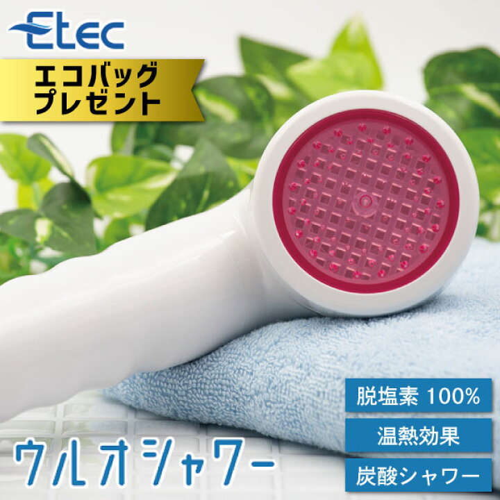 æ¥½å¤©å¸å ´ããã¨ã³ããã°ãã¬ã¼ã³ããæµæ°´ã·ã£ã¯ã¼ããã ç­é¸ãã©ã¹ 