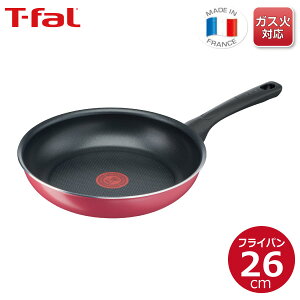 yGg[ōő100%|CgobN zeBt@[ Nx[bh tCp 26cm B55905yKXΐpz тɂ  v y ϋv M`