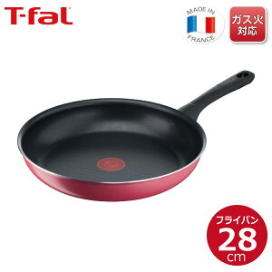 eBt@[ Nx[bh tCp 28cm B55906 yKXΐpz тɂ  v y ϋv M`