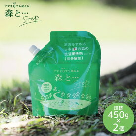 洗濯洗剤 森と…Step 詰替パック450g×2個セット洗剤 無添加 環境保護 柔軟剤不要 赤ちゃん