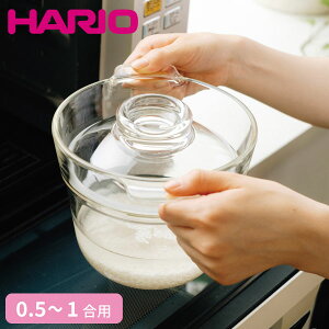 HARIO V XRCPN-1dqWpъ nI ϔMKX͂   1`2lp 1 dqW