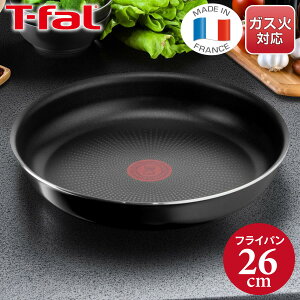 eBt@[ CWjIElI n[h`^jEECeX tCp 26cm L43805 yKXΐpẑƂeBt@[ tCp  тɂ Pi ʔ ϋv