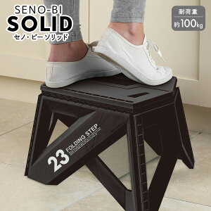 ZmEr[ \bh LG23 ubN 30784 g[h s܂肽 ݑ ܂  r Xebv 23cm ω׏d100kgʏ gC  Lb`    Ԏ[