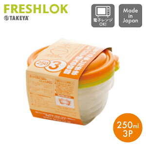 yۑez JtCgpbN 250ml 3pbN ^PⓀɂdqW܂ Ⓚۑ ۑe ֗ ȈՕۑ 3F TAKEYA {