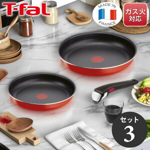 eBt@[ CWjIElI pvJbh Zbg3 L15193 KXΐp ̂Ƃ 肪Ƃ tCp 22cm 26cm Ў  [  Mtg T-fal TFAL