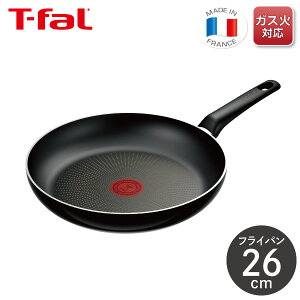 eBt@[ n[h`^jEECeXtCp 26cm D53005yKXΐpz tv y тɂ 