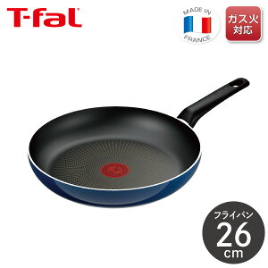 eBt@[ Cu[ECeXtCp 26cm D53305KXΐp t tCpv y тɂ  