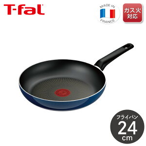 eBt@[ Cu[ECeXtCp 24cm D53304KXΐp t tCpv y тɂ  